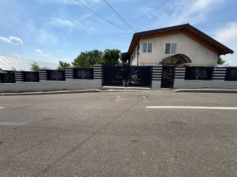 poartă metalică copac decupat Dâmbovița